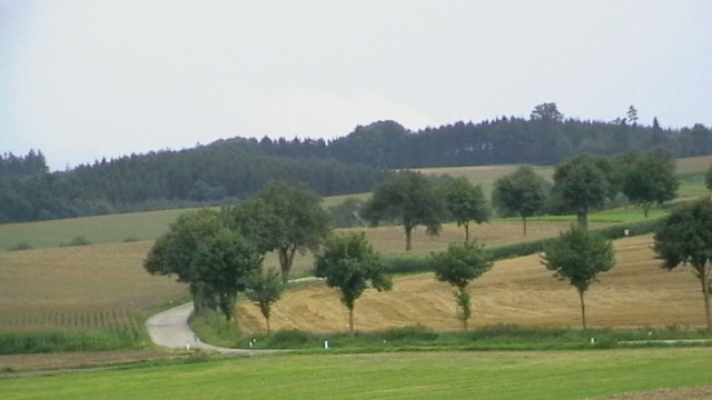 IMGA0446